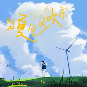 当夏风又吹起