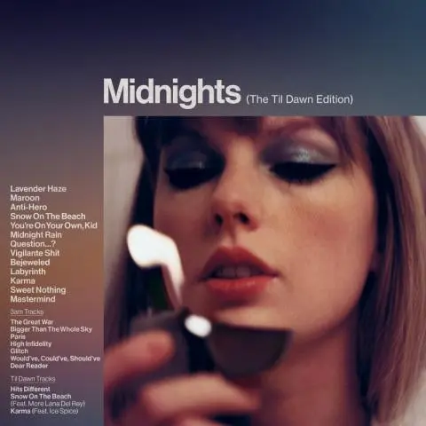 taylor swift - vigilante shit