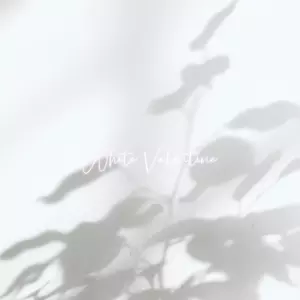蔡健雅 - 可以爱你真好