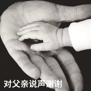 谭咏麟 - 父亲