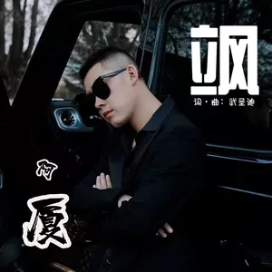 飒(DJ默涵版)