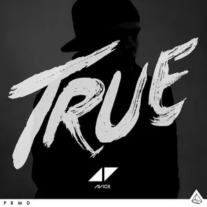 Avicii/Aloe Blacc - Wake Me Up
