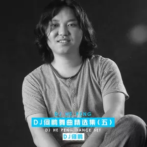 何鹏/金久哲 - 嗑儿(DJ版)