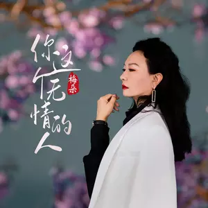 梅朵 - 你这个无情的人