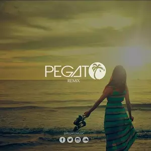 Pegato/Walk Off the Earth - Summer Vibe