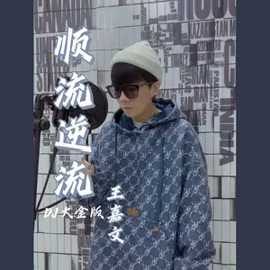 顺流逆流(DJ大金版)