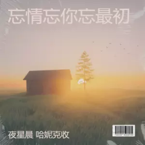 夜星晨/哈妮克收 - 忘情忘你忘最初(合唱版)