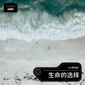 LH李洪亮 - 往往难留