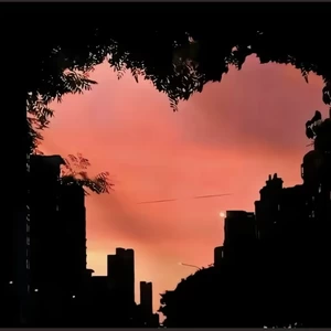 恍惊一梦会秋冬 - Fluttering Love