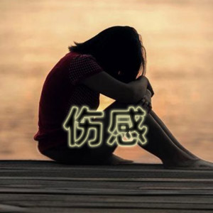 音乐合集 - 【经典伤感歌曲】盘点华语乐坛330首经典的伤感歌曲,每一首都催泪动听直触心灵[WAV+MP3+12GB]  