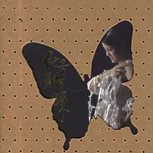 田维英 - 似是故人来