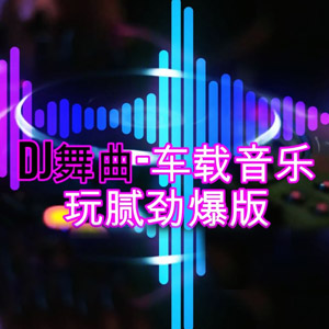 音乐合集 - 【车载DJ】2023年抖音最火热门劲爆舞曲无损音乐歌曲合集207首