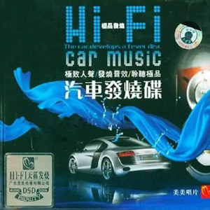 音乐合集 - 【HIFI】高保真车载极致发烧女声环绕3D磁性女声百听不厌车载专用[2.1G]