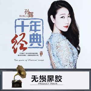 音乐合集 - 孙露十年经典黑胶光盘hifi发烧翻唱歌曲348首高保真车载无损音乐[18.2GB]