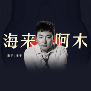 音乐合集 - 【海来阿木】精选94首无损音乐经典歌曲作品，每首都旋律优美动听[4GB] 