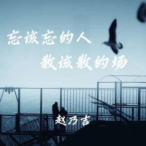 赵乃吉 - 忘该忘的人 散该散的场