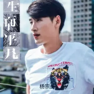 杨宗勇 - 生而平凡
