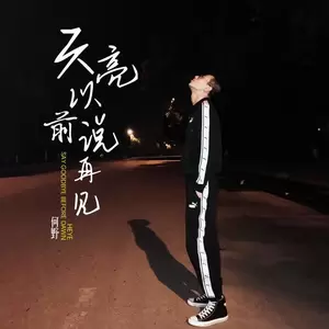 何野 - 天亮以前说再见