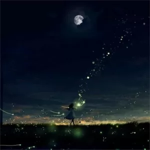 AniFace - 夜、萤火虫和你