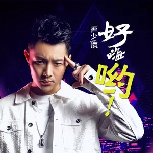 严少辰 - 好嗨哟