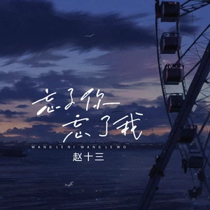 赵十三 - 忘了你忘了我 (女声版)