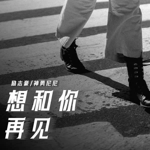 励志豪/神勇尼尼 - 想和你再见（明天起爱你恨你）
