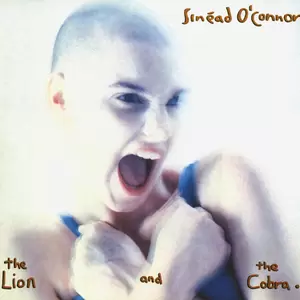 Sinéad O’Connor - Drink Before the War