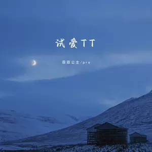 菲菲公主/pro - 试爱TT