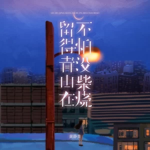 黄静美 - 留得青山在不怕没柴烧 (烟嗓版)