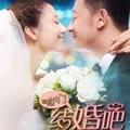 小柯/叶蓓 - 我们好像在哪见过