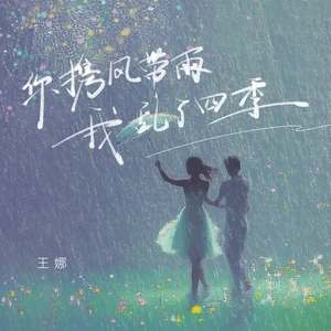 王娜 - 你携风带雨我乱了四季