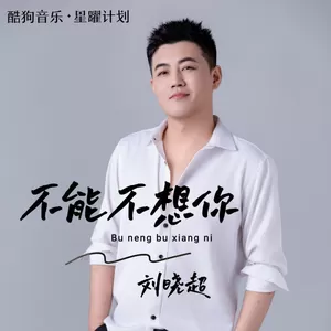 刘晓超 - 不能不想你