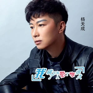杨天成林 - 我瞒了所有人爱了你很久