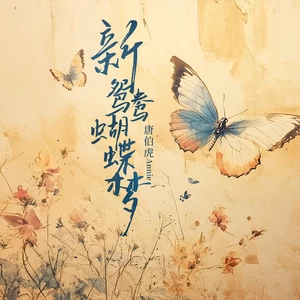 新鸳鸯蝴蝶梦