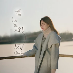 冯提莫 - 看到风
