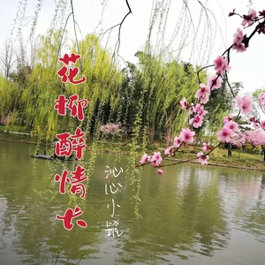 浅梦心音/沁心小筑 - 花柳醉情长(女声版)