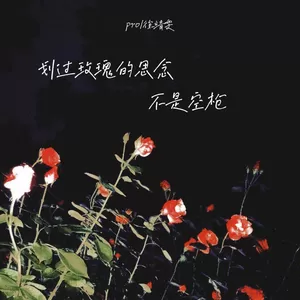 pro/徐靖雯 - 划过玫瑰的思念不是空枪