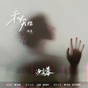 张瑶 - 未知