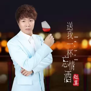 送我一杯忘情酒(DJ何鹏版)
