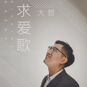 求爱歌(DJ何鹏版)