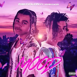 24kGoldn/iann dior - Mood