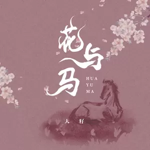 花与马(DJ版)