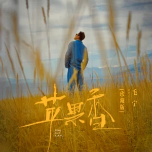 苹果香(DJ阿卓版)