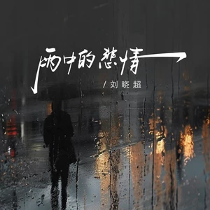 雨中的悲情(刘晓超版)