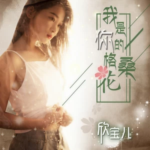 我是你的格桑花(DJ版)