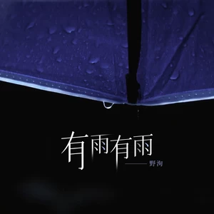 野洵 - 有雨有雨