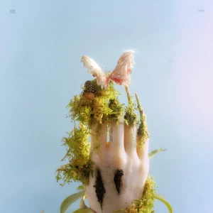 花与镜