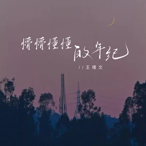 王理文 - 懵懵懂懂的年纪