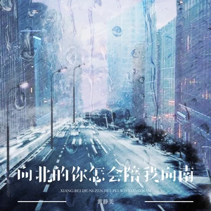 向北的你怎会陪我向南
