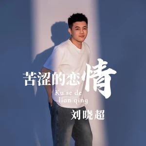 刘晓超 - 苦涩的恋情